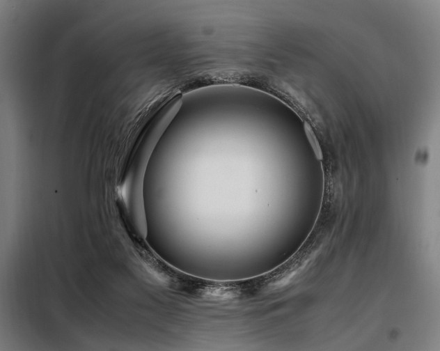 X0000098080117200804041157