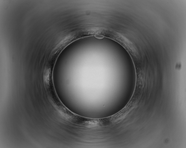 X0000098080118200804041157