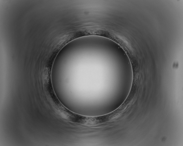 X0000098080121200804041157