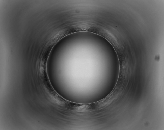 X0000098080122200804041157