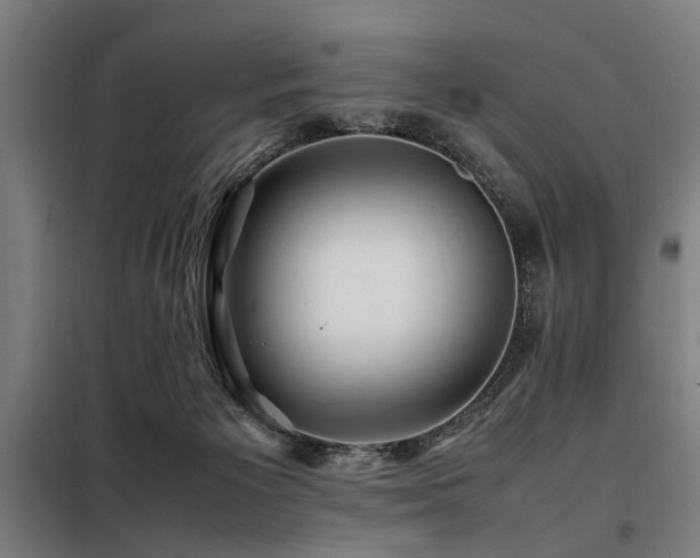 X0000098080125200804041157