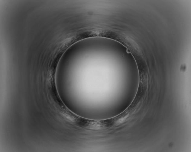 X0000098080127200804041157