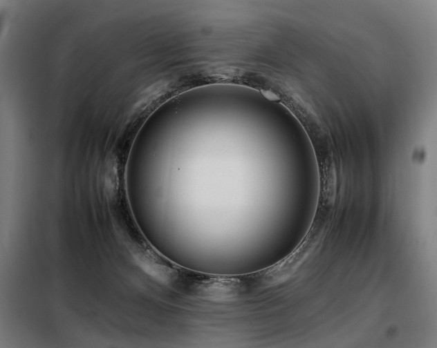X0000098080128200804041157