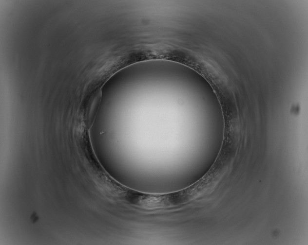 X0000098080129200804041157
