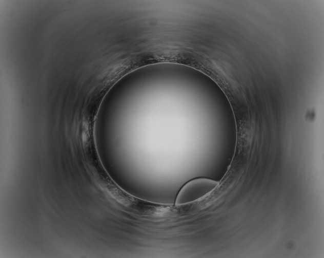 X0000098080130200804041157