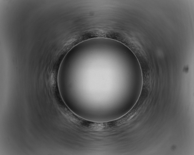 X0000098080131200804041157