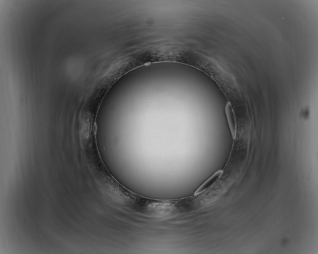 X0000098080133200804041157