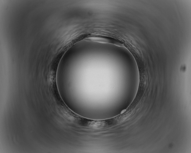 X0000098080135200804041157