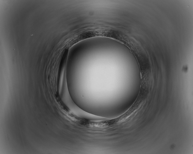 X0000098080137200804041157