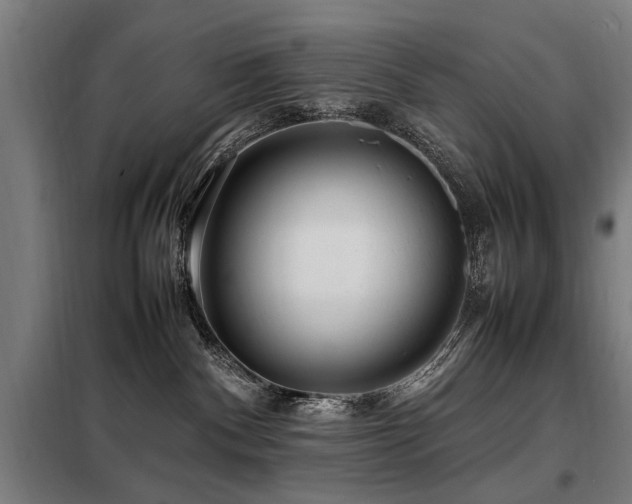 X0000098080140200804041157