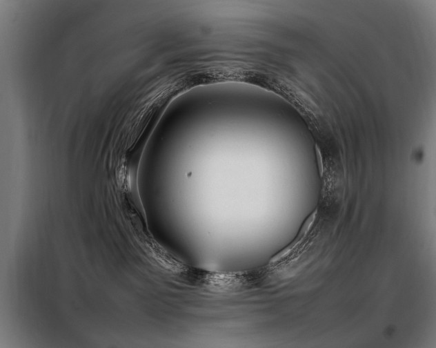X0000098080141200804041157
