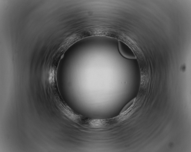 X0000098080142200804041157