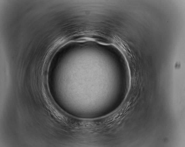 X0000098080145200804041156