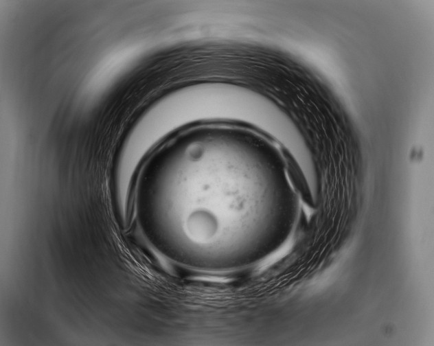 X0000098080146200804041156