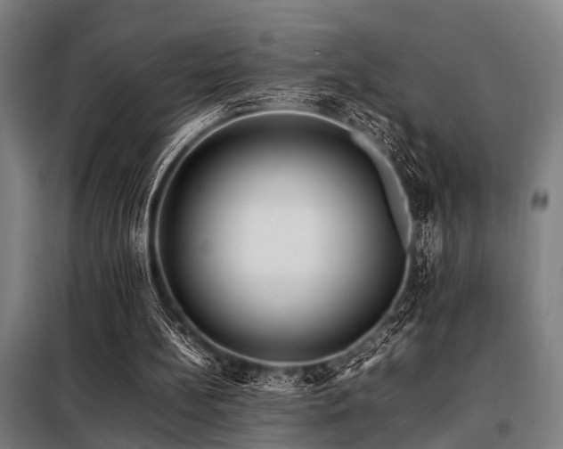 X0000098080148200804041156