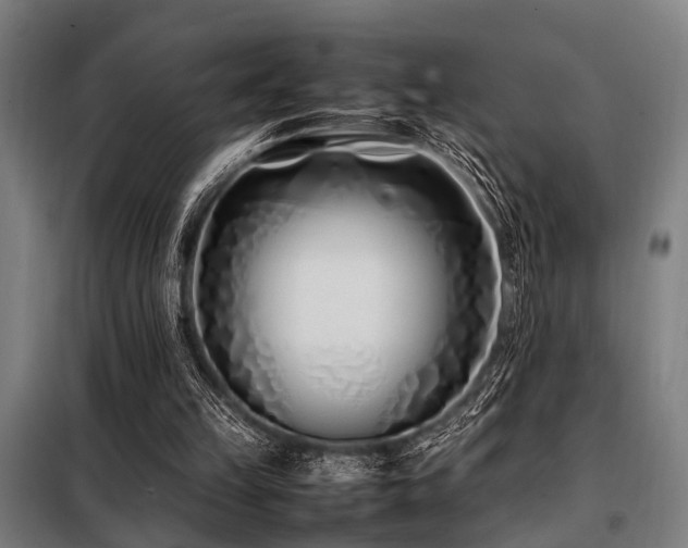X0000098080149200804041156