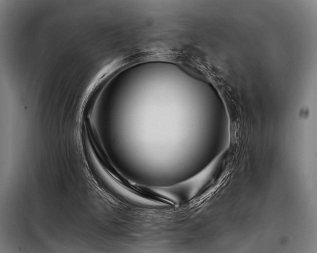X0000098080150200804041156