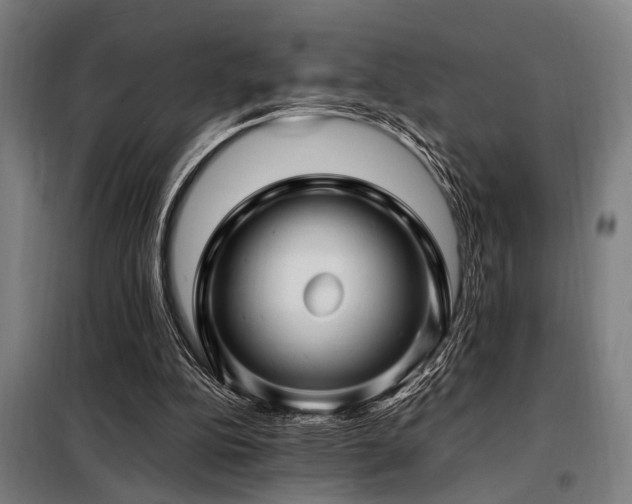 X0000098080152200804041157