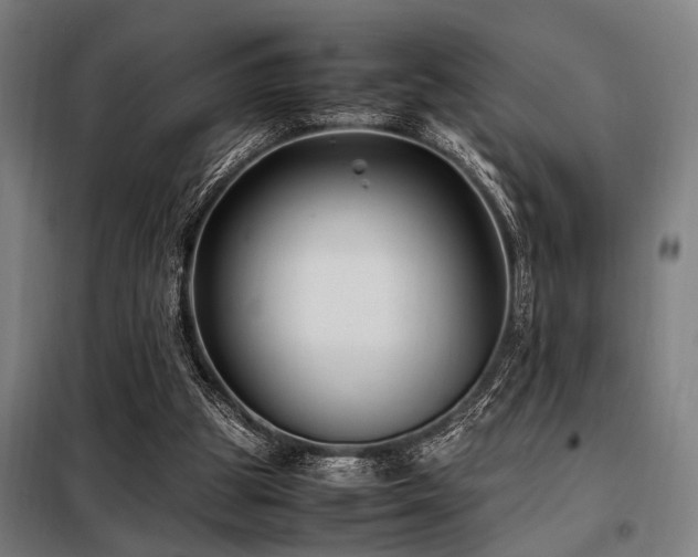 X0000098080153200804041157