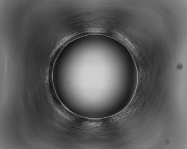 X0000098080155200804041157