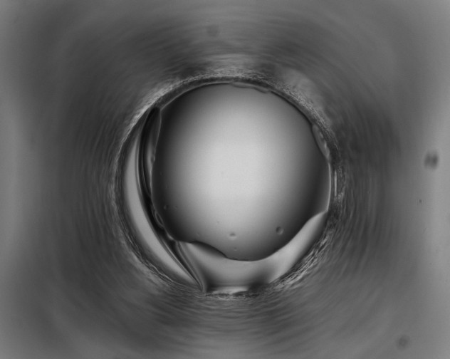 X0000098080156200804041157