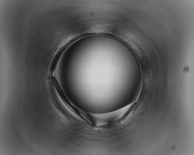 X0000098080160200804041157