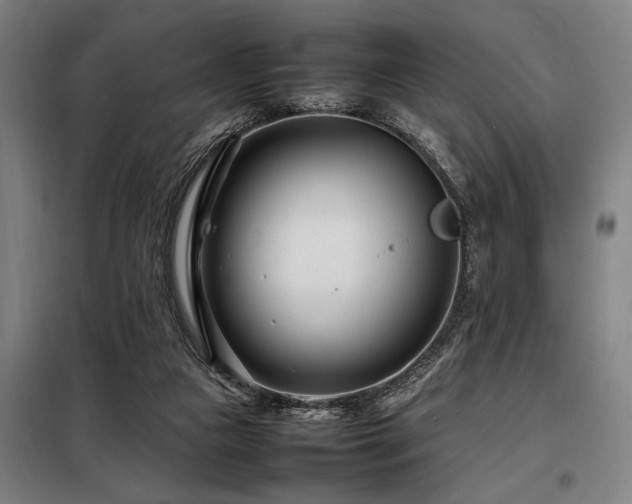 X0000098080161200804041157