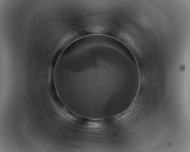 X0000098080167200804041157