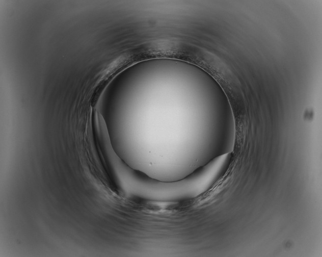 X0000098080168200804041157