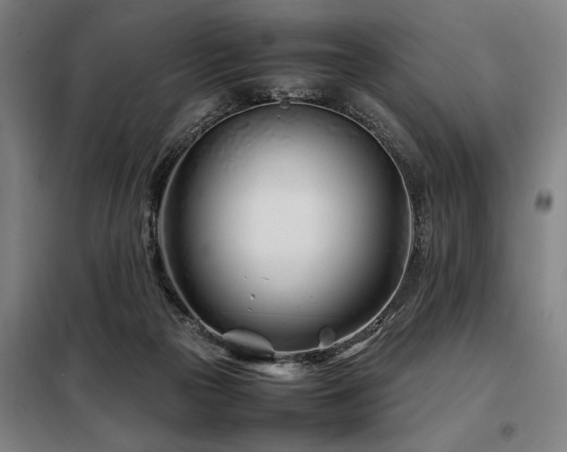 X0000098080169200804041157