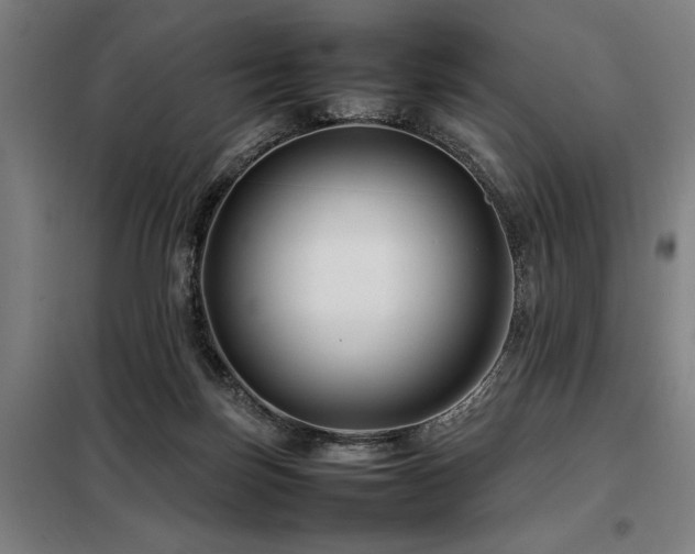 X0000098080171200804041157
