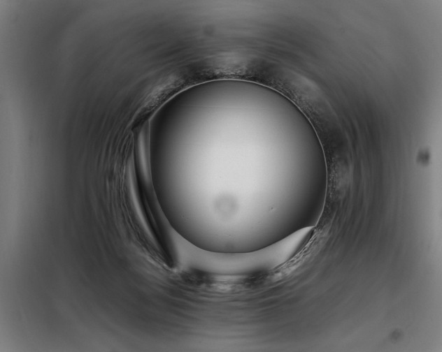 X0000098080172200804041157