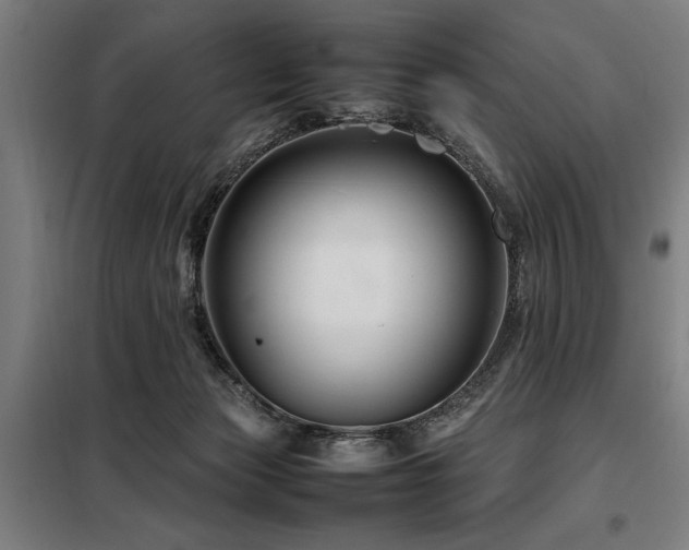 X0000098080173200804041157