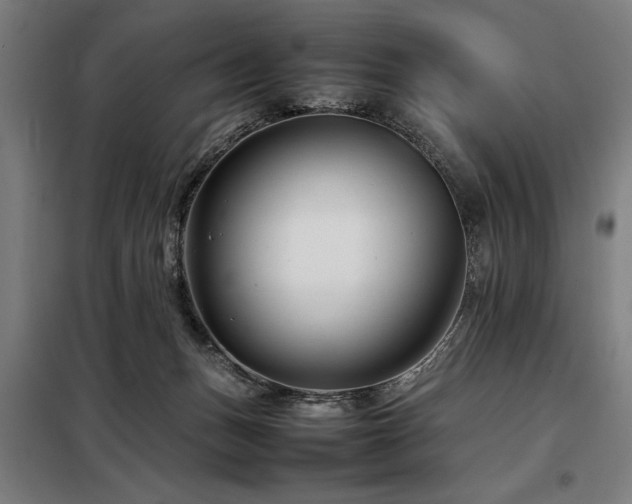 X0000098080175200804041157