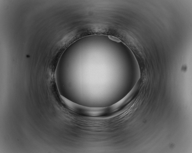 X0000098080176200804041157