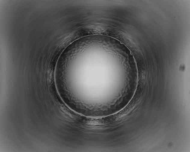 X0000098080177200804041157