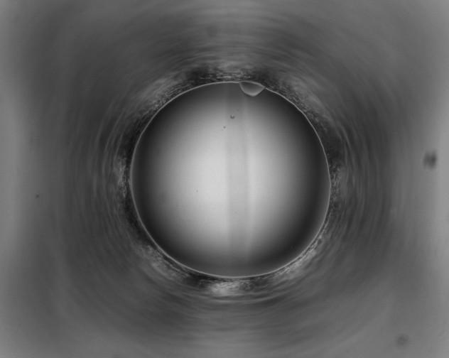X0000098080178200804041157