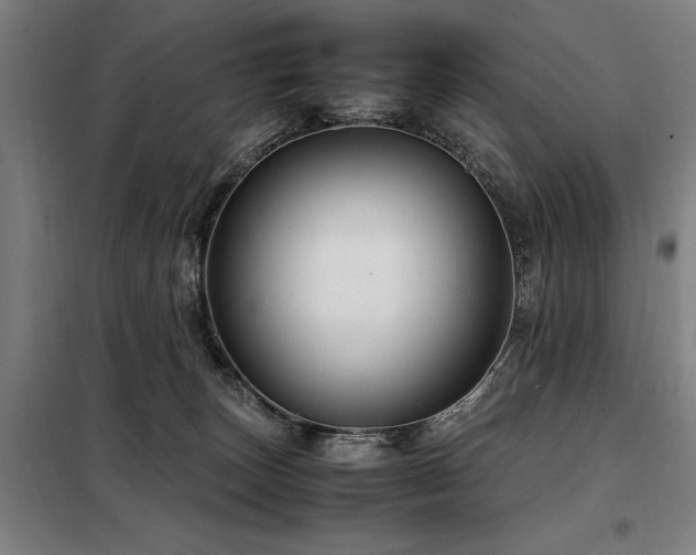 X0000098080179200804041157