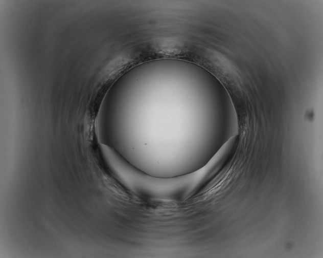 X0000098080180200804041157