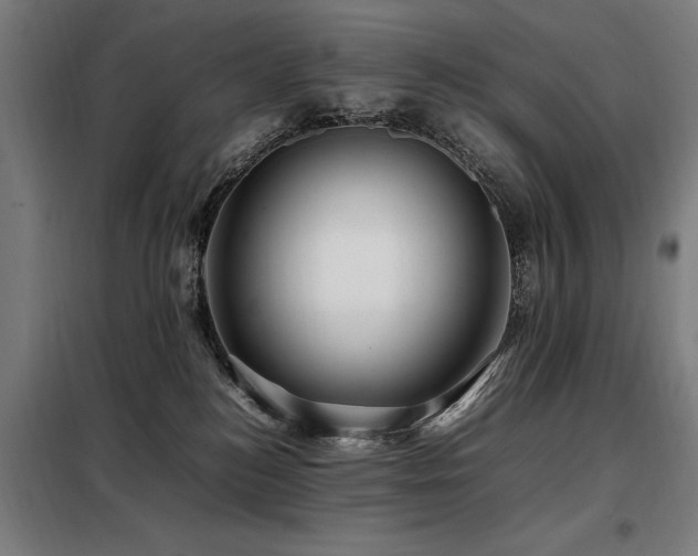 X0000098080184200804041157