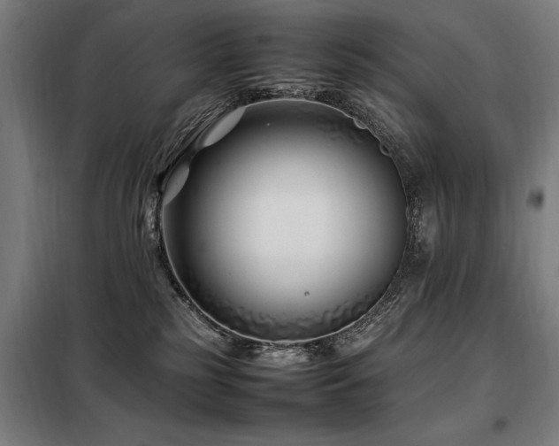 X0000098080185200804041157