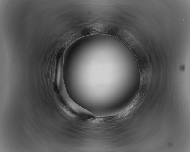 X0000098080186200804041157