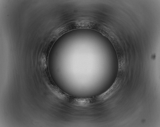 X0000098080187200804041157