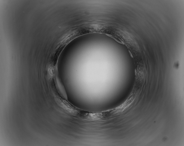 X0000098080188200804041157