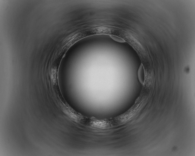 X0000098080189200804041157