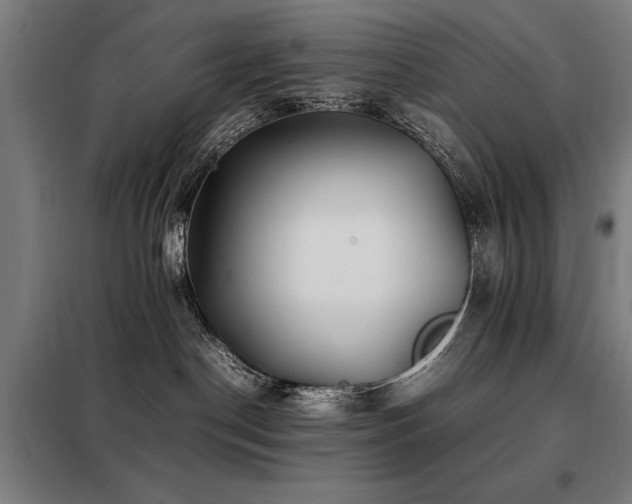 X0000098080190200804041157
