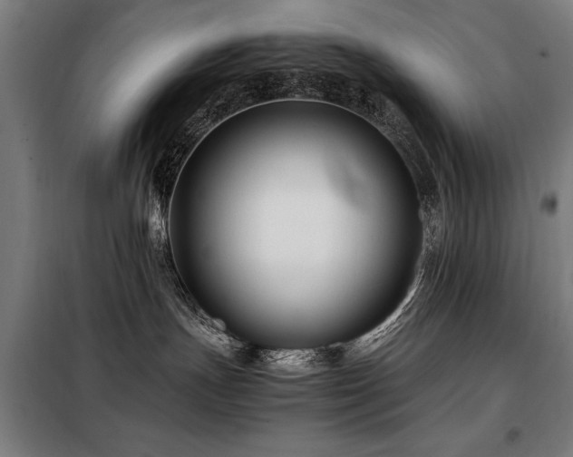 X0000098080191200804041157