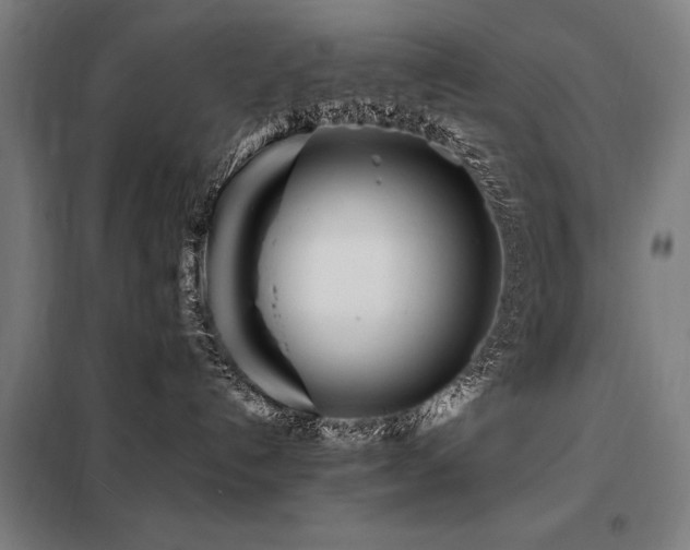 X0000098080192200804041157