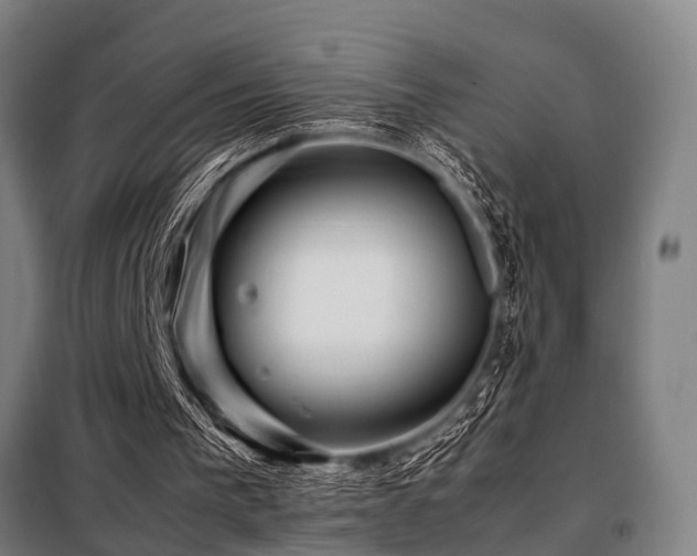 X0000098080193200804041156