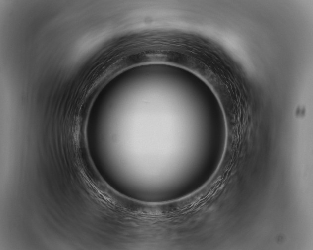 X0000098080194200804041156